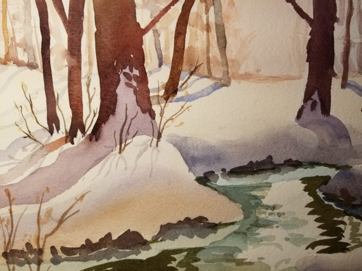 Winter white in the woods